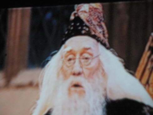 Richard Harris as Albus Dumbledore